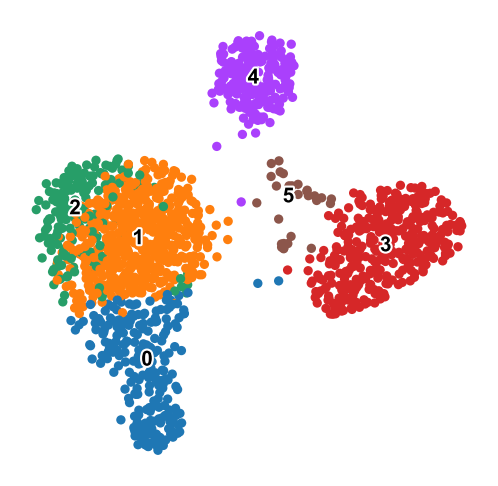 Leiden UMAP from the downstream Scanpy tutorial